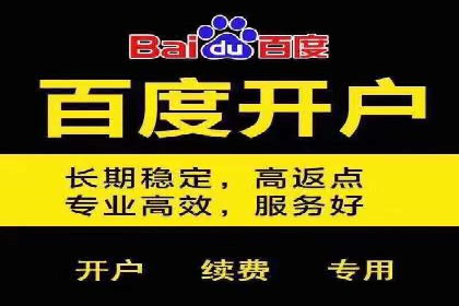 深度解析：百度SEM代运营成功案例分享
