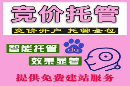 成功案例：托管SEM竞价在金融行业的应用